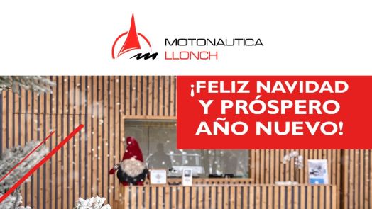 FELIZ NAVIDAD Y PROSPERO AÑO NUEVO!