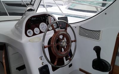 ARVOR 250
