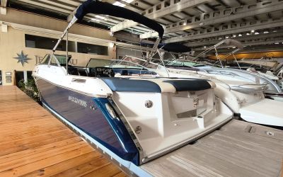 FOUR WINNS SUNDOWNER 265