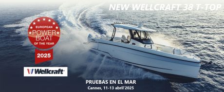 WELLCRAFT 38 T-TOP