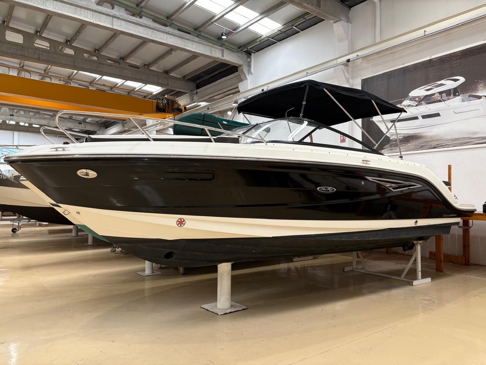 SEA RAY SUN SPORT 250