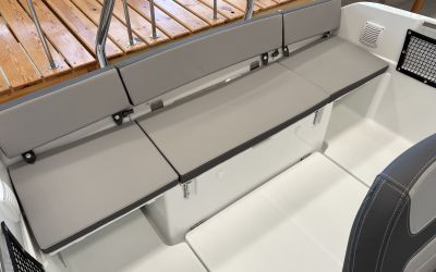 JEANNEAU CAP CAMARAT 5.5 CC SERIE 2