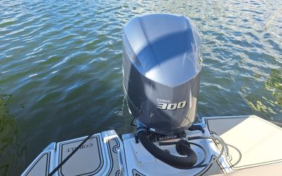 COBALT 23 SC