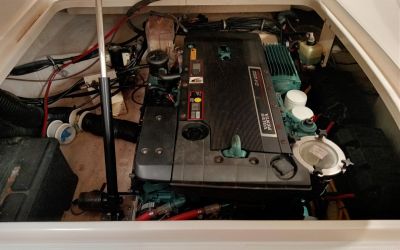 CHAPARRAL SIGNATURE 250