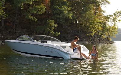 Cobalt 220S